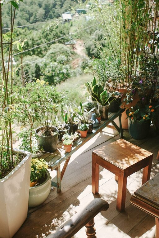 Top Tips for Creating a Relaxing Garden Space at Home